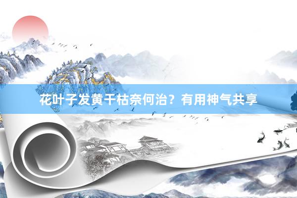 花叶子发黄干枯奈何治？有用神气共享